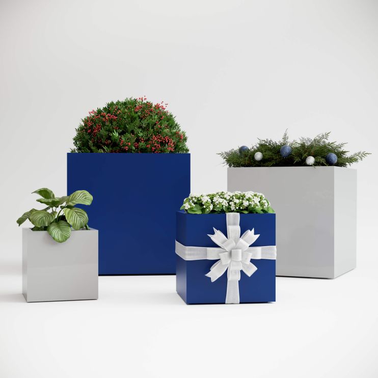 Jay Scotts Holiday Painted Cube Collection