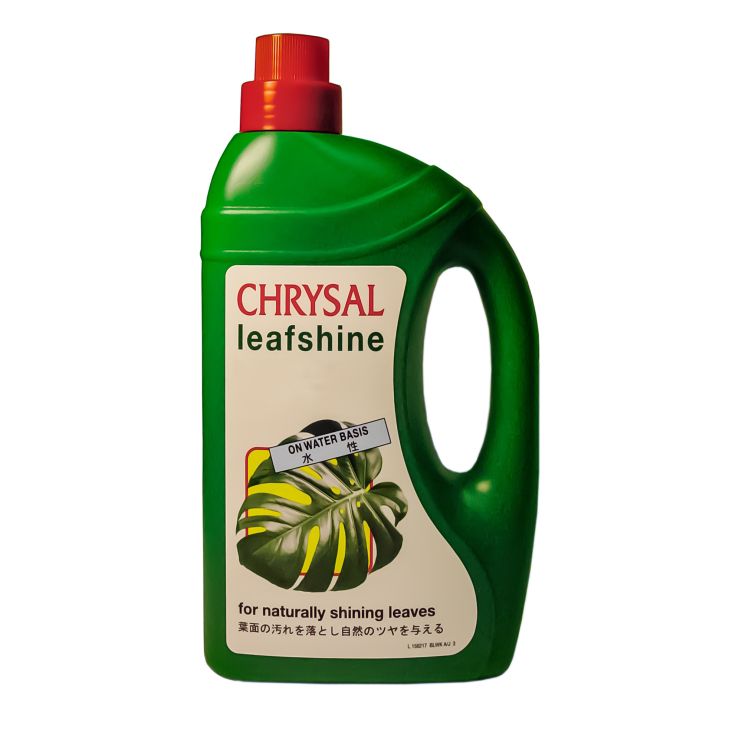 Pokon Leafshine - 2x Concentrate