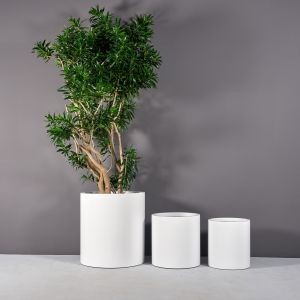 Jay Scotts Fiberglass Rio Grande Cylinder Planter (18