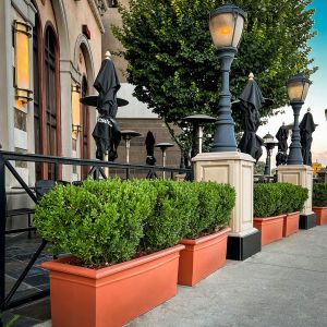CurbSide Large Rectangle Planter
