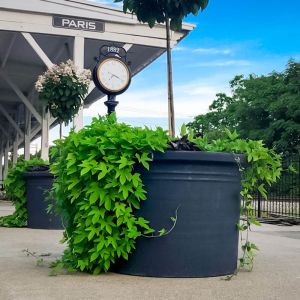 CurbSide Cylinder Planter Pot