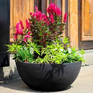 CurbSide Flat Bottom Bowl Planter