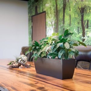 Independence Franklin Rectangle Planter (6.5