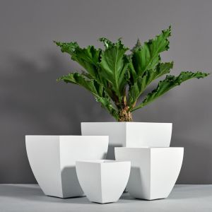 Jay Scotts Fiberglass Lima Tapered Square Planter (12
