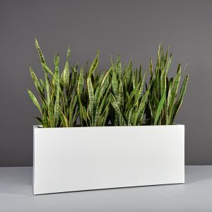 Jay Scotts Fiberglass Tolga 24