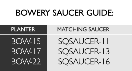 Saucer Guide