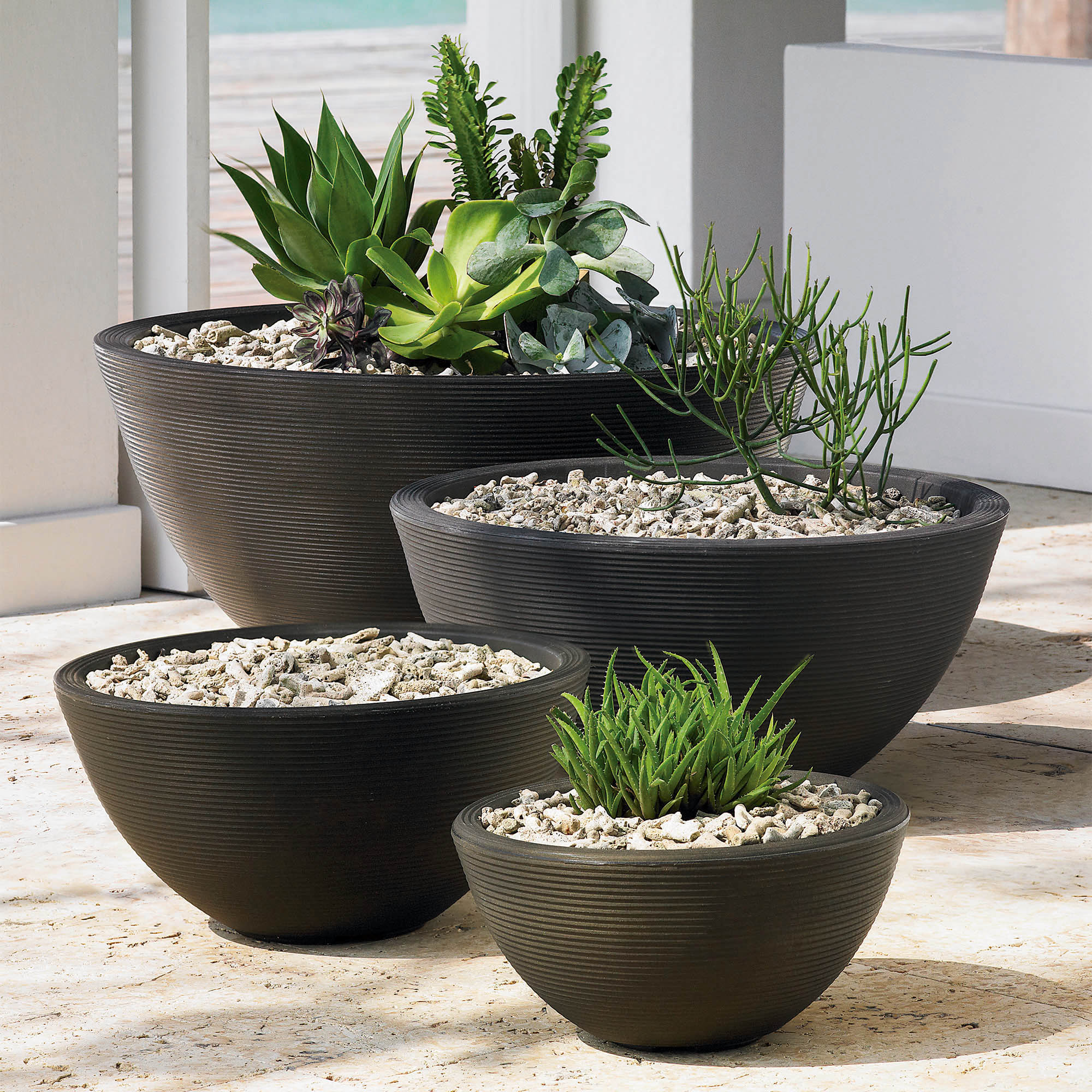 Bowl Planters