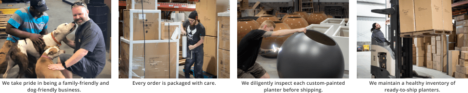 NewPro - Family and Dog Friendly