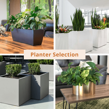Planter Selection