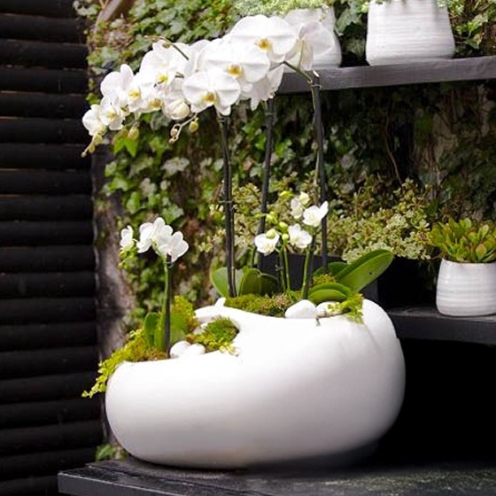 Modern Abstract Planters