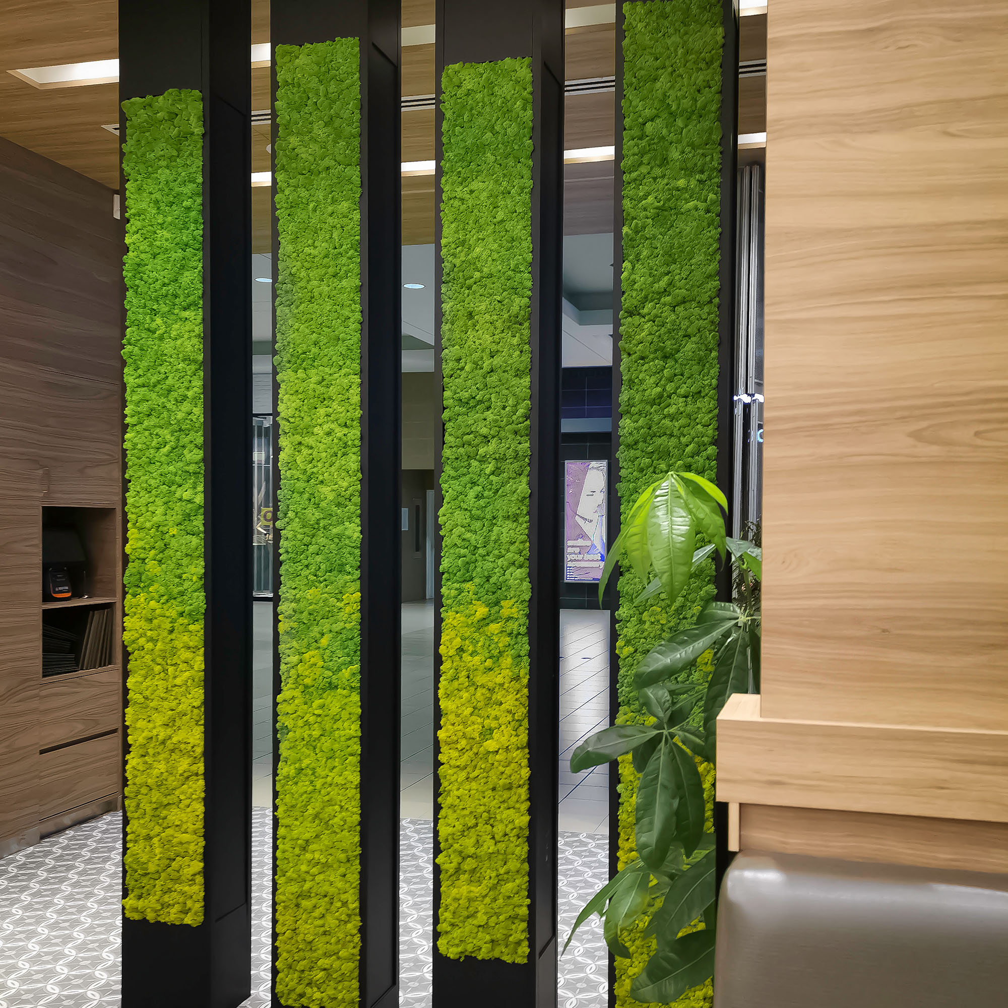 Biophilic Design