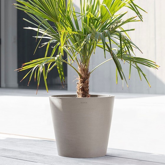 Self Watering Planters